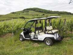 Foto Balade dans les vignes en voiture électrique avec chauffeur - Domaine Pierre Adam